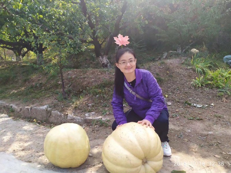 海绵宝宝的第一张照片--乌鲁木齐相亲服务中心