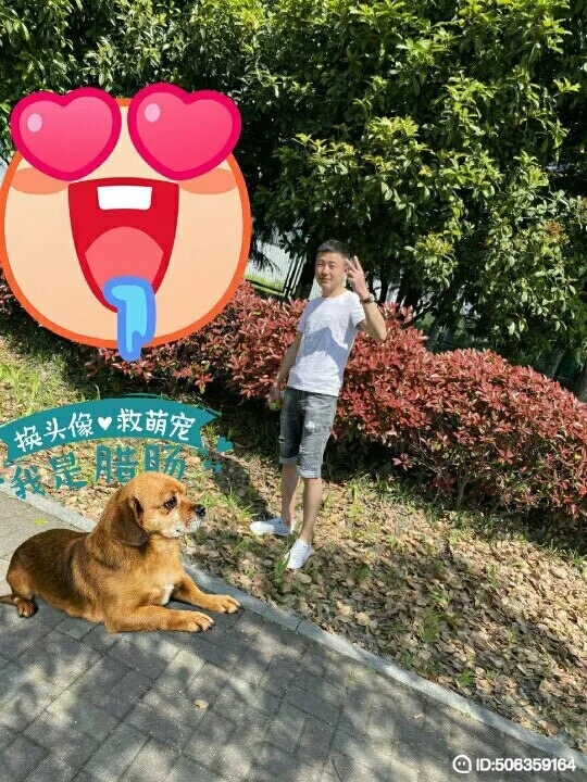 我若不坚强谁替我勇敢的第一张照片--乌鲁木齐相亲服务中心
