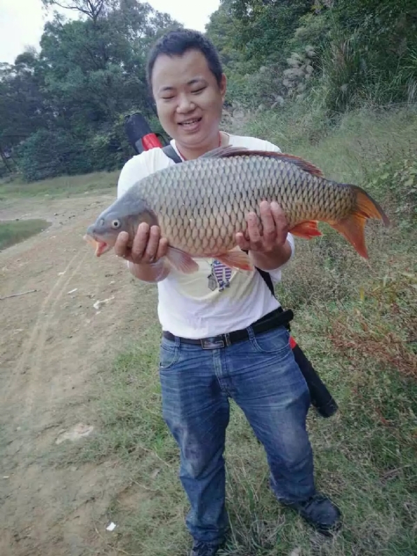 迷路的男人的第一张照片--乌鲁木齐相亲服务中心
