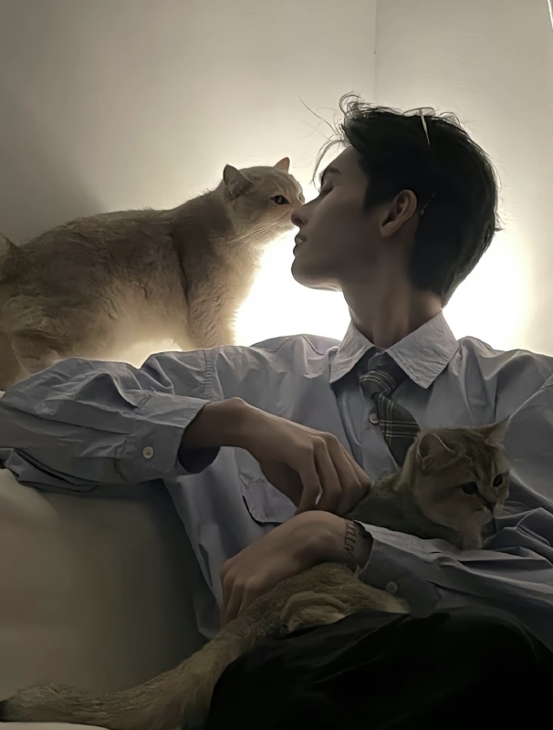 怪猫的第一张照片--乌鲁木齐相亲服务中心